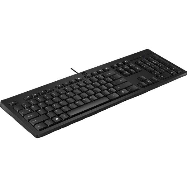 HP 125 Wired USB Keyboard QWERTY US - Afbeelding 5