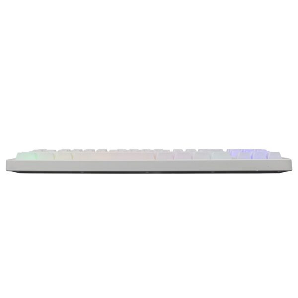 BARACUDA Keyboard KRILL White US Qwerty Rainbow Tenkeyless - Afbeelding 3