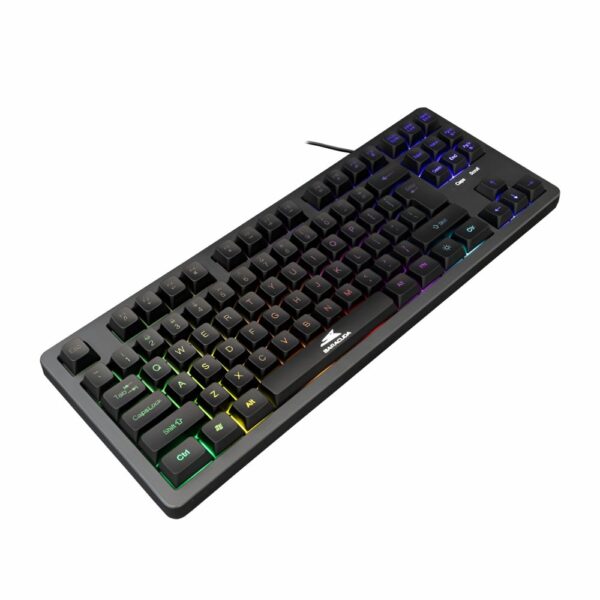 BARACUDA Keyboard KRILL Black US Qwerty Rainbow Tenkeyless - Afbeelding 4